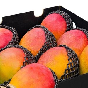 페루산 고당도 애플망고 4kg (7-9과)