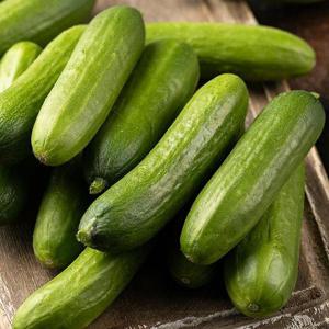 광양 미니오이 1kg(500g*2팩)