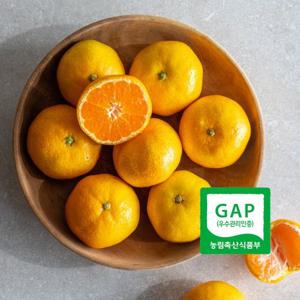 서귀포 GAP인증 AI당도선별 노지 하우스 감귤 5kg 쪼꼴락 2S 맛있는 올레길 감귤 산지직송 제철 과일 LD