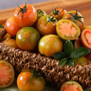 [부산대저동직송] 김혜금님의 대저토마토 2kg x 2박스(각80-180g)