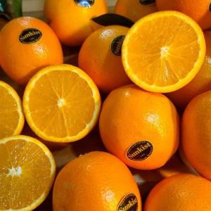 블랙라벨 프리미엄 오렌지 20개입 중과