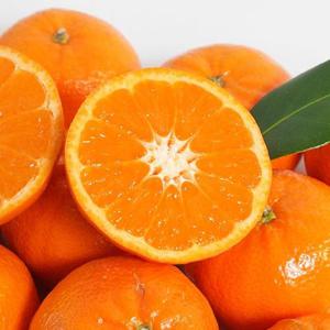 썬키스트 고당도 만다린 2kg 16~30과