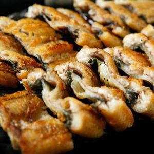 고창 민물장어 손질 자포니카 풍천장어 1kg 양념장세트