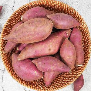 세척 꿀고구마 5kg 대크기