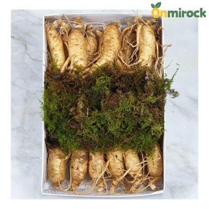 온미락 6년근 풍기 인삼 10~13뿌리 750g 소백산 고랭지 이식재배 전통농법