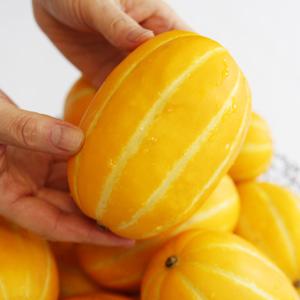 성주 아삭달콤 가정용 꿀 참외 소과 5kg