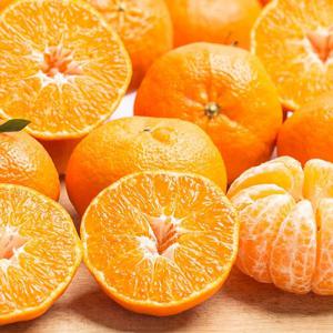 [자연품애 레드향] 가정용 레드향 2.5kg(실중량) 중과