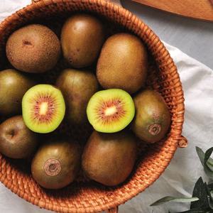 [푸르젠 키위] GAP인증 하동 참다래 레드키위 2kg 27~33과 (중)