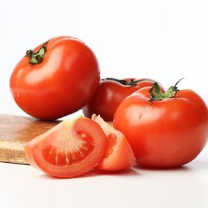 보성 완숙토마토 5kg 대과(18-24과)