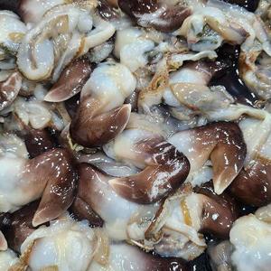 국내산 급냉 초코 새조개 200g 1팩