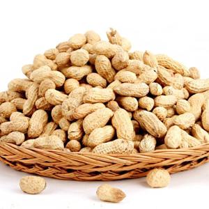 [예찬] 정성드린 고소한 볶음 피땅콩 1kg