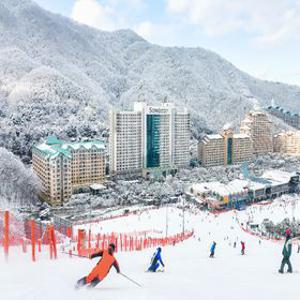 [슈퍼트립] [특별할인] 25/26 홍천 비발디파크 스키 리프트/장비렌탈 PKG/오션월드 택1, 대인&소인 공통
