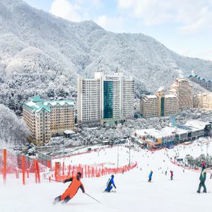 [슈퍼트립] [특별할인] 25/26 홍천 비발디파크 스키 리프트/장비렌탈 PKG/스노위랜드/오션월드 택1, 대인&소인 공통