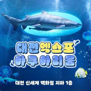 [대전] 엑스포 아쿠아리움 입장권