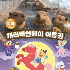 [슈퍼트립] 용인 캐리비안베이 종일이용권&에버랜드 콤비 이용권, 이용기간 최대 3월 2일, 주중&주말 공통혜택