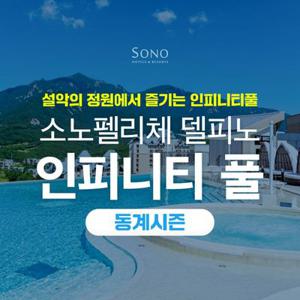 강원 소노펠리체 델피노 인피니티풀 동계시즌 1인 입장권 고성 프라이빗풀 종일권 20세이상 노키즈존 (-26/03/02)