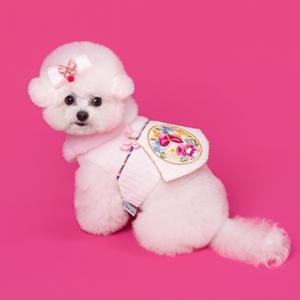 강아지 한복 배자 조끼 여