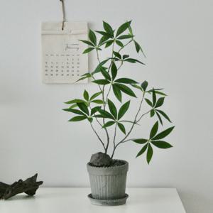 파키라 프리미엄 조화 블랙 화분 인테리어 소품