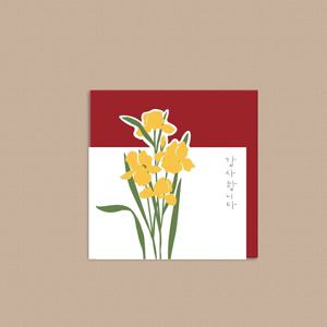 캘리그라피 미니꽃카드 사랑합니다, 축하합니다 감사합니다 행복하세요 4종