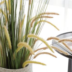 강아지풀 갈대 대형 라그라스 인테리어 조화 2color