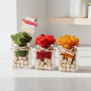 스칸디아모스 천연 이끼 화분 공기정화식물 습기제거 인테리어 소품