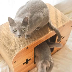 숨숨집 라디오 게임기 스크레쳐