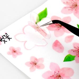 1500 교육용투명스티커 꽃 벚꽃