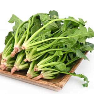 싱싱 달큰한 남해 시금치 500g / 1kg / 1.5kg / 2kg