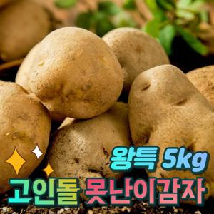 경북상주 햇 못난이감자 요리용 왕특 감자 5kg 산지직송