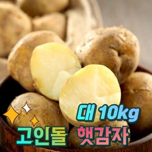 경북상주 햇감자 쪄먹는 감자용 대 감자 10kg 산지직송