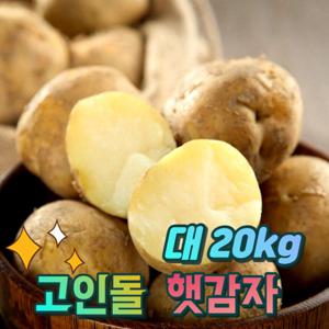 경북상주 햇감자 쪄먹는 감자용 대 감자 20kg 산지직송