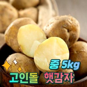 경북상주 햇감자 조림용 알감자 중 감자 5kg 산지직송