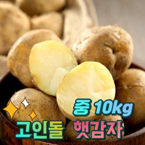 경북상주 햇감자 조림용 알감자 중 감자 10kg 산지직송