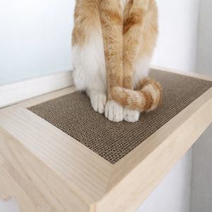 창문 스크래치 선반