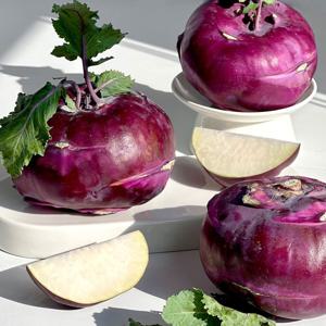 싱싱한 제주 콜라비 2kg외 골라담기(정품혼합과 사이즈)