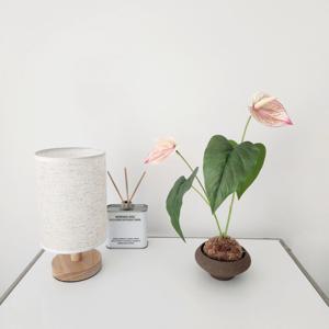 안스리움 조화화분세트 카페인테리어 조화꽃 홈인테리어 테이블장식 거실꾸미기