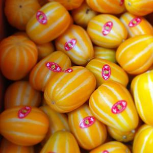 성주 달콤한 참외 혼합과 2kg/5kg