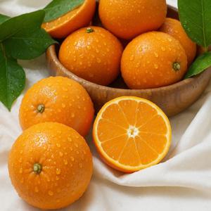 제주직송 새콤달콤 천혜향 2kg 3kg 5kg  [랜덤과/선물세트]