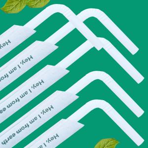 옥수수 전분 자바라 주름 빨대 100개 개별포장 생분해 빨대 23cm