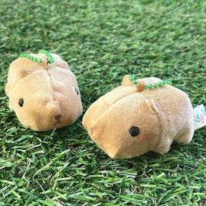 푸치마루 카피바라 인형키링