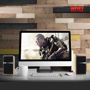브리츠 Z2100 Pinacle 2 USB전원 2채널 컴퓨터 PC 스피커