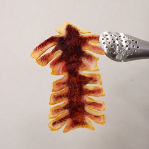 버터 오징어 모형 음식모형 캠핑 감성 디스플레이 촬영 소품