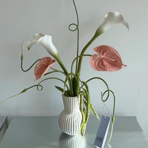 Piece 10 안스리움 & 카라 조화