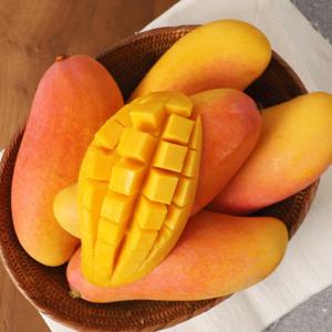 태국 마하차녹 무지개망고 2kg 5-7과/랜덤