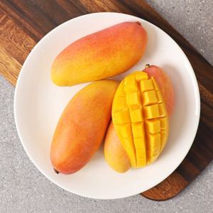 태국 무지개망고 마하차녹 4~6과(총 1kg 이상)
