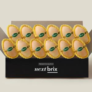 달콤새콤 베트남 망고 5kg