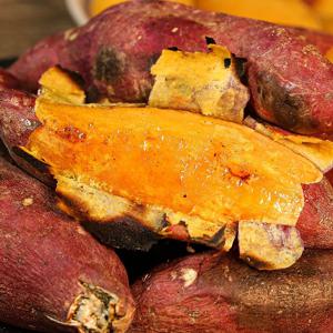 달콤한 영암 신품종 호박고구마 호풍미 고구마 3kg 5kg 10kg 당근고구마