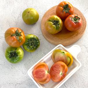 짭짤이 대저 토마토 2.5kg 중과 (M)