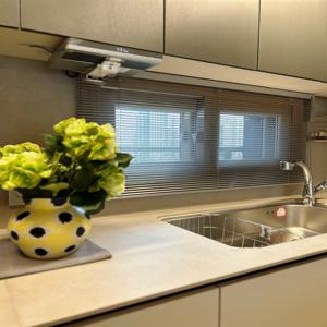 맞춤주문제작 덱스터 알루미늄 블라인드25mm 3종