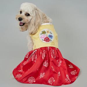 강아지 명절 한복 여아 금화단한복 (DG042)